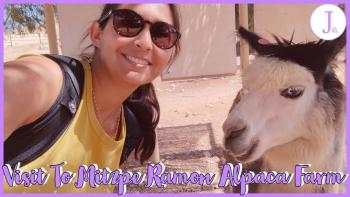 Embedded thumbnail for Moving To Israel - Visit To Mitzpe Ramon Alpaca Farm