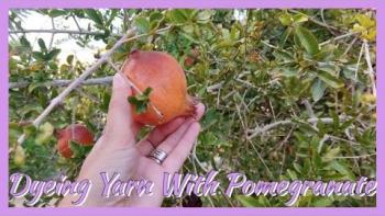 Embedded thumbnail for Dyeing Yarn With Pomegranate - Natural Yarn Dyeing
