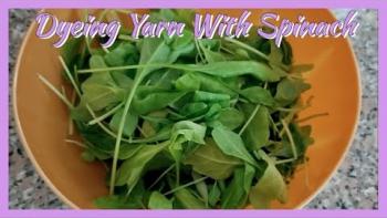 Embedded thumbnail for Dyeing Yarn With Spinach - Natural Yarn Dyeing